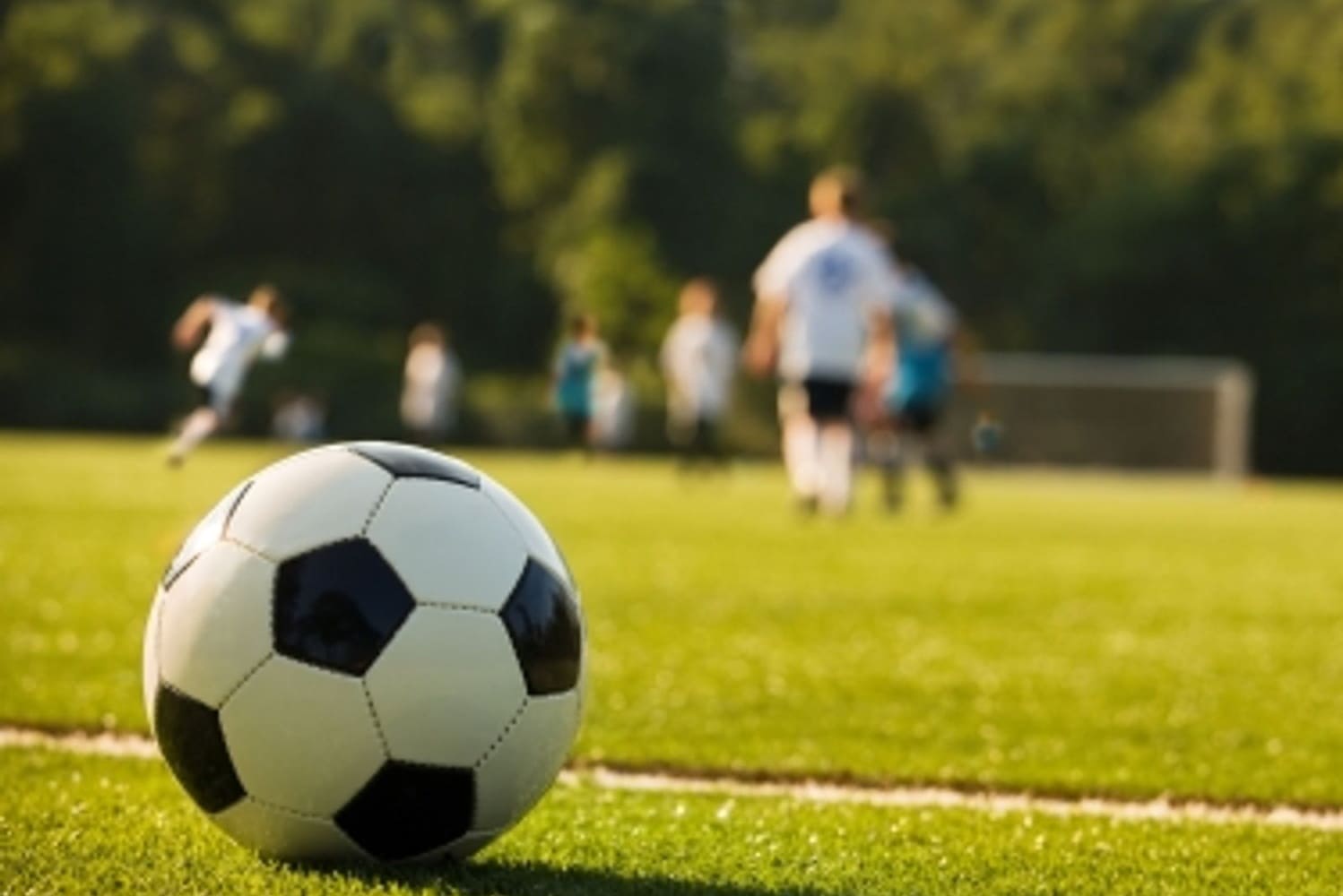 Fußball-Einblicke